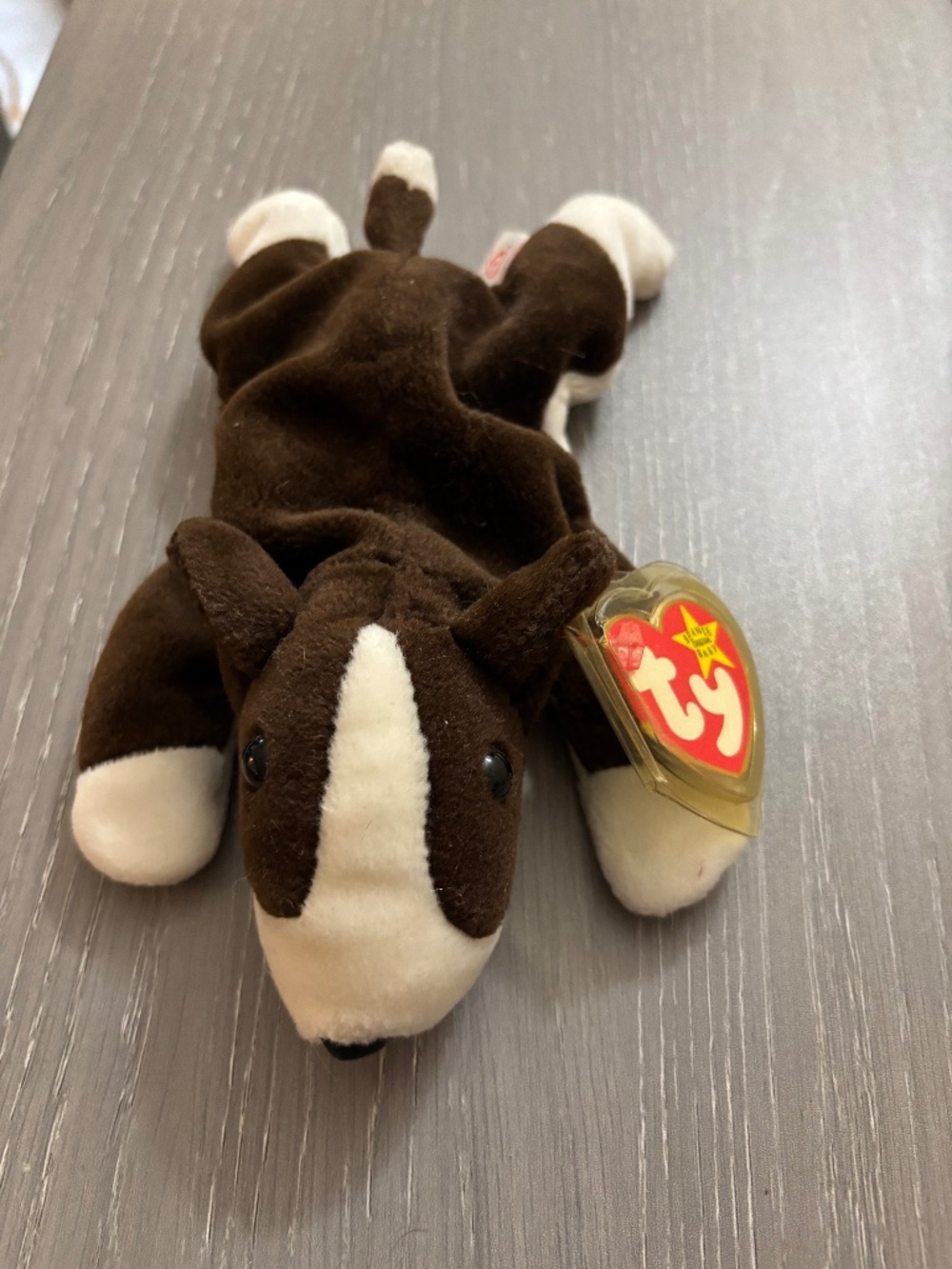 TY beanie baby dog Bruno